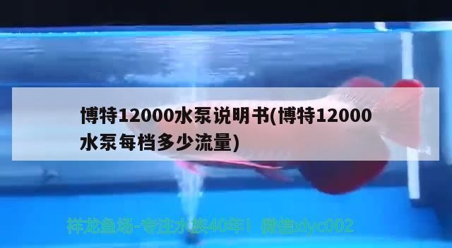 博特12000水泵說明書(博特12000水泵每檔多少流量)