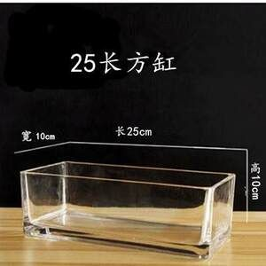 25厘米的魚缸：一個直徑為25厘米的圓形魚缸養魚數量可以根據以下原則來確定 25厘米的魚缸：一個直徑為25厘米的圓形魚缸養魚數量可以根據以下原則來確定 魚缸百科 第2張