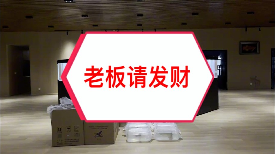 老板請發財?????? #萬隆天王紅龍 #龍魚 #紅龍