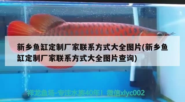 新鄉(xiāng)魚缸定制廠家聯(lián)系方式大全圖片(新鄉(xiāng)魚缸定制廠家聯(lián)系方式大全圖片查詢)