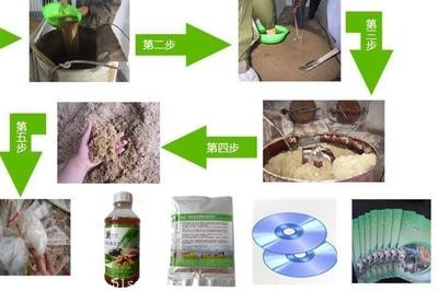 金龍護身最厲害三個地方：金龍護身什么意思