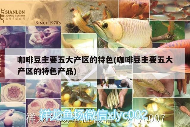 咖啡豆主要五大產區的特色(咖啡豆主要五大產區的特色產品)