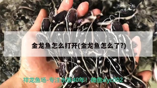 創寧變頻水泵有聲音（創寧變頻水泵有聲音嗎）