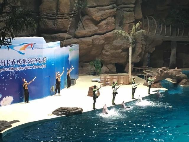 杭州水族館vs祥龍魚場（杭州水族館和祥龍魚場之前，我們需要明確兩者之間的區別）