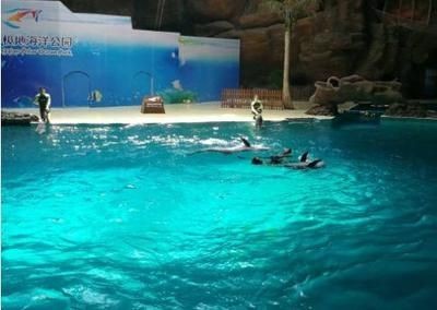 杭州水族館vs祥龍魚場（杭州水族館和祥龍魚場之前，我們需要明確兩者之間的區別）