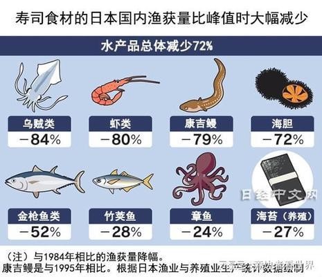 金蟾擺放的最佳方向圖：金蟾擺放的最佳方向圖 招財 金蟾擺放的最佳方向圖：金蟾擺放的最佳方向圖 招財 龍魚百科 第2張