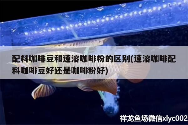 配料咖啡豆和速溶咖啡粉的區(qū)別(速溶咖啡配料咖啡豆好還是咖啡粉好)