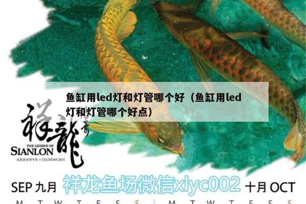 堿性值對照表：堿性數值
