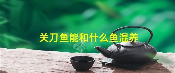 堿性水對龍魚的影響：堿性水對龍魚的影響大嗎
