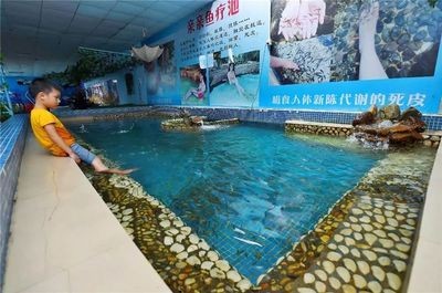 陽江水族館vs祥龍魚場（陽江水族館與祥龍魚場的區別）