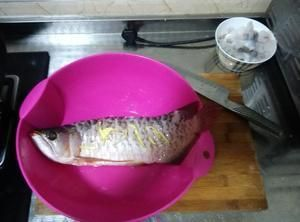 甲魚(yú)養(yǎng)殖池全套設(shè)備：甲魚(yú)養(yǎng)殖池全套設(shè)備宿舍