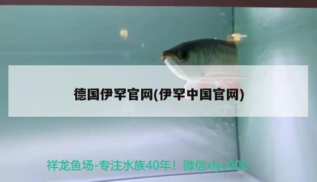 德國伊罕官網(伊罕中國官網)
