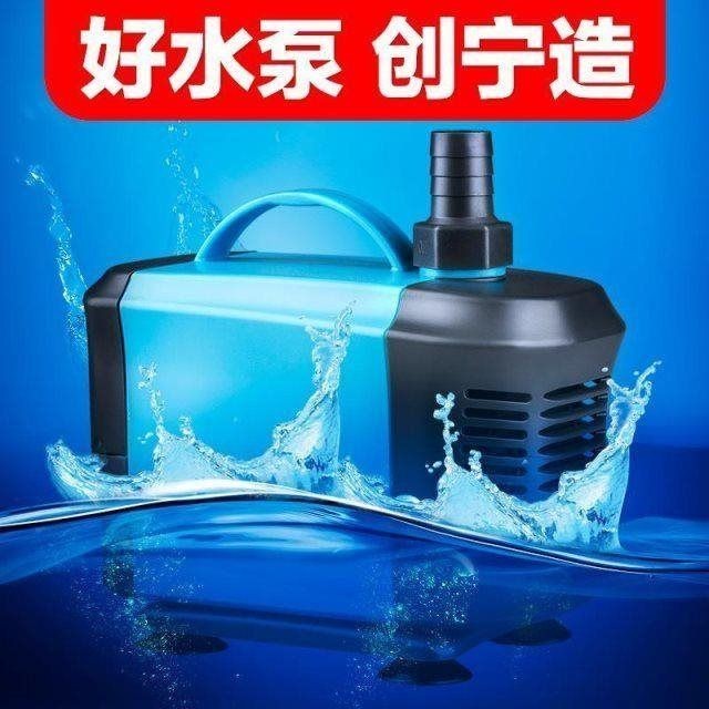 甲辰之妻魚龍之身：甲辰之妻魚龍之身是誰