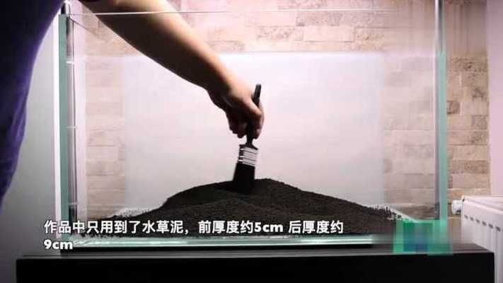 60公分魚缸造景設計方案：60公分魚缸造景60公分魚缸造景設計方案
