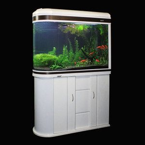 60金魚缸要多大氧氣：關于金魚缸氧氣泵的一些建議