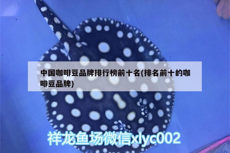 中國咖啡豆品牌排行榜前十名(排名前十的咖啡豆品牌) 中國咖啡豆品牌排行榜前十名(排名前十的咖啡豆品牌) 馬來西亞咖啡
