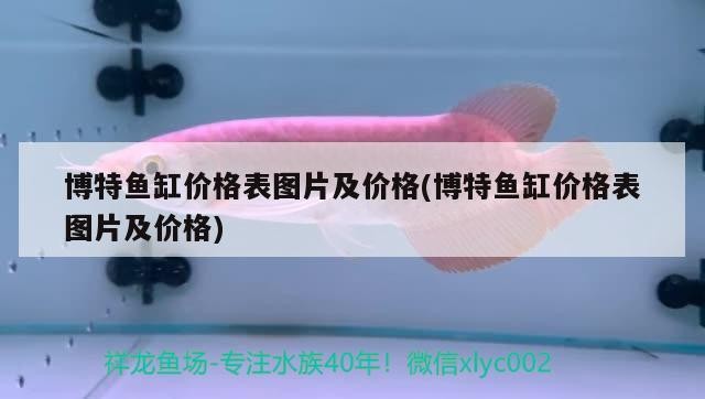 博特魚缸價格表圖片及價格(博特魚缸價格表圖片及價格) 博特魚缸價格表圖片及價格(博特魚缸價格表圖片及價格) 博特水族