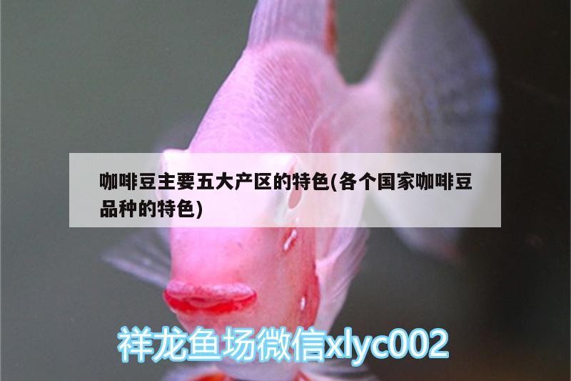咖啡豆主要五大產(chǎn)區(qū)的特色(各個國家咖啡豆品種的特色) 咖啡豆主要五大產(chǎn)區(qū)的特色(各個國家咖啡豆品種的特色) 馬來西亞咖啡