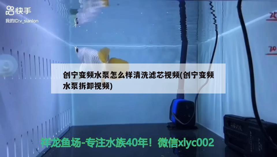 創寧變頻水泵怎么樣清洗濾芯視頻(創寧變頻水泵拆卸視頻)