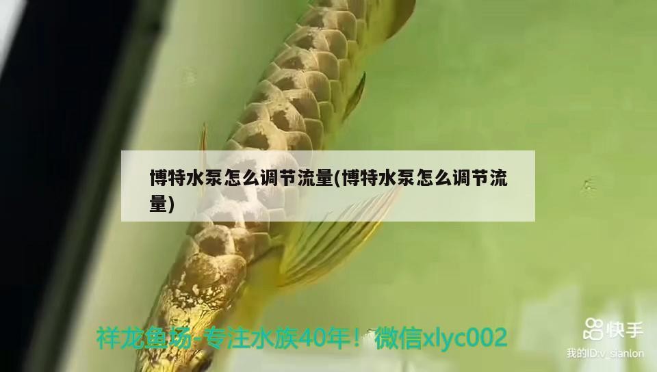 博特水泵怎么調節流量(博特水泵怎么調節流量)