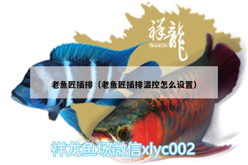 老魚匠插排（老魚匠插排溫控怎么設(shè)置）