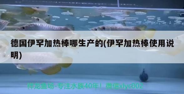 德國伊罕加熱棒哪生產(chǎn)的(伊罕加熱棒使用說明) 德國伊罕加熱棒哪生產(chǎn)的(伊罕加熱棒使用說明) 伊罕水族