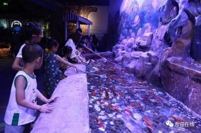 忻州水族館vs祥龍魚場（忻州水族館與祥龍魚場各有側重）