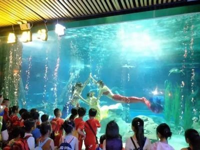 忻州水族館vs祥龍魚場（忻州水族館與祥龍魚場各有側重）