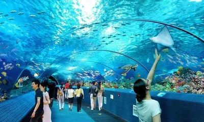 忻州水族館vs祥龍魚場（忻州水族館與祥龍魚場各有側重）