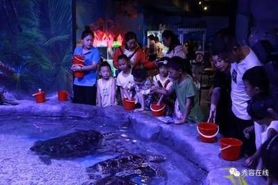 忻州水族館vs祥龍魚場（忻州水族館與祥龍魚場各有側重）