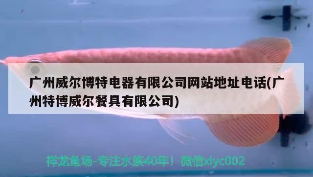 廣州威爾博特電器有限公司網站地址電話(廣州特博威爾餐具有限公司)