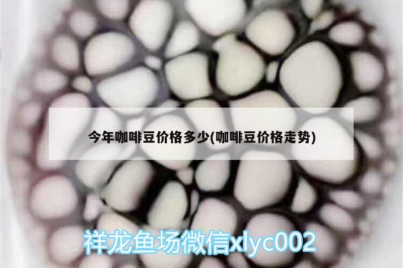 今年咖啡豆價格多少(咖啡豆價格走勢)