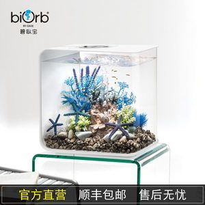 80的魚缸養(yǎng)什么魚：80厘米的魚缸養(yǎng)魚的注意事項