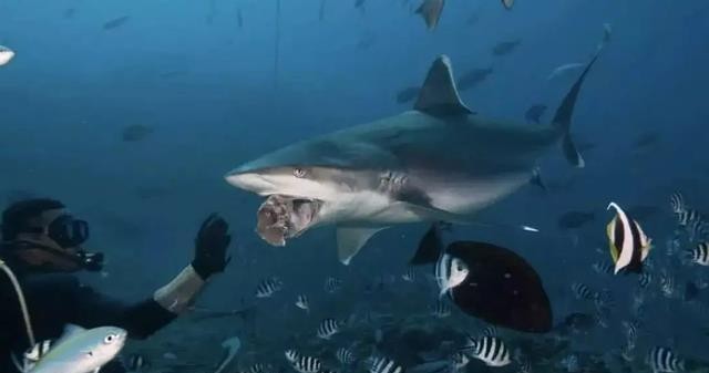 家庭養魚魚缸放在什么位置最好：一進門看見魚缸好嗎?