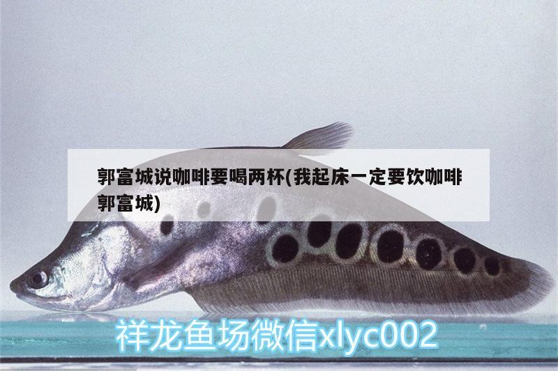 郭富城說(shuō)咖啡要喝兩杯(我起床一定要飲咖啡郭富城)