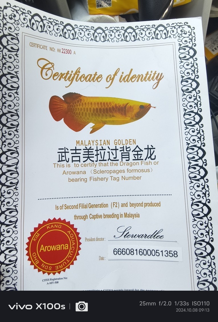 大神們幫幫忙看看