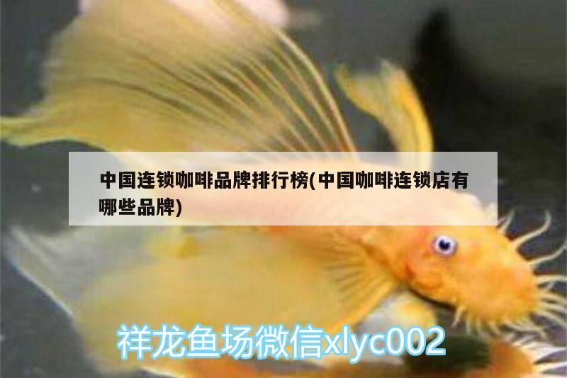 龍魚干蝦有營養嗎 中國連鎖咖啡品牌排行榜(中國咖啡連鎖店有哪些品牌) 馬來西亞咖啡 中國連鎖咖啡品牌排行榜(中國咖啡連鎖店有哪些品牌) 中國連鎖咖啡品牌排行榜(中國咖啡連鎖店有哪些品牌) 馬來西亞咖啡