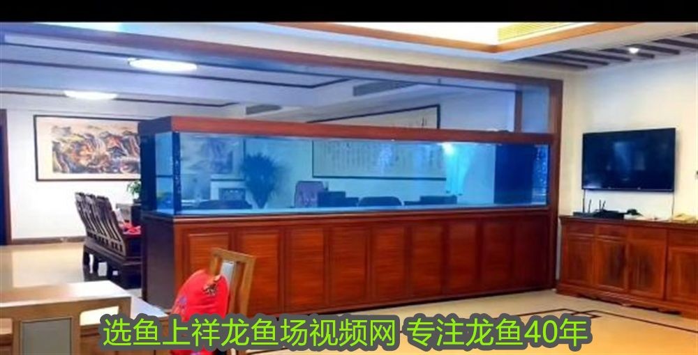 東莞可麗愛魚缸專賣店電話：東莞可麗愛魚缸專賣店，打造水族世界的藝術殿堂