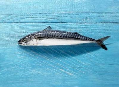 家里最簡單的養(yǎng)魚方法：自來水養(yǎng)魚的正確方法