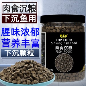 家里魚盆放哪里最旺財：家里魚盆放哪里最旺財最好