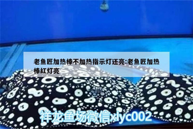 老魚匠加熱棒不加熱指示燈還亮:老魚匠加熱棒紅燈亮