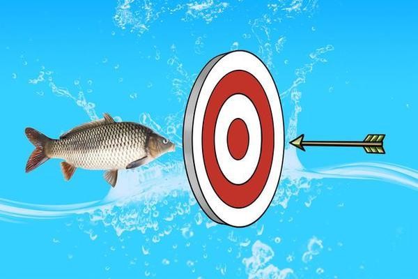 家里魚缸不能超過幾個：家中魚缸養幾條魚最好 家里魚缸不能超過幾個：家中魚缸養幾條魚最好 龍魚百科 第2張