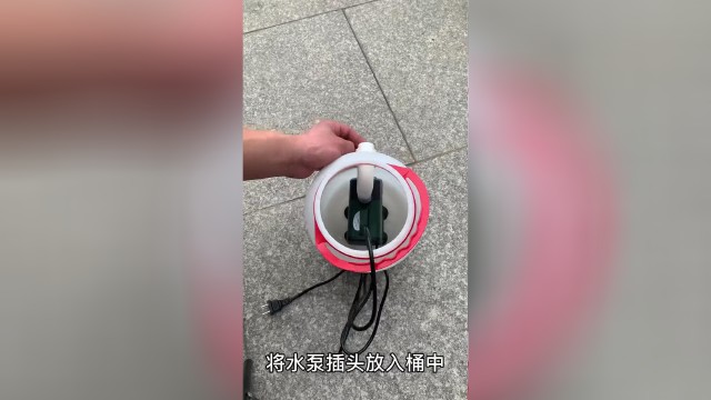 龍魚干蝦有營養嗎 七彩魚缸尺寸規格圖片(七彩魚缸尺寸規格圖片大全) 魚缸百科 七彩魚缸尺寸規格圖片(七彩魚缸尺寸規格圖片大全) 七彩魚缸尺寸規格圖片(七彩魚缸尺寸規格圖片大全) 魚缸百科