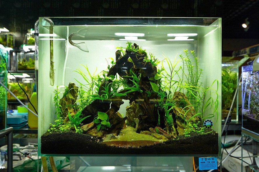 1.2米魚(yú)缸造景圖片及價(jià)格：1.2米魚(yú)缸造景價(jià)格