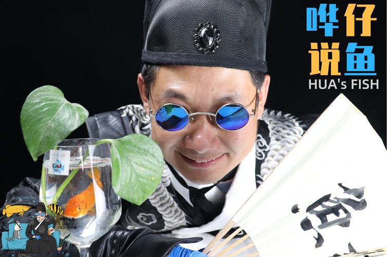 創寧水泵曲線圖（創寧水泵使用說明書）