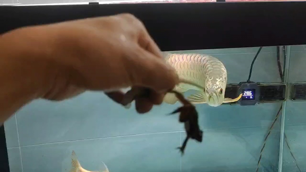 十月，你有哪些新發現？分享一下你的快樂時刻！