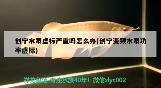 創寧水泵虛標嚴重嗎怎么辦(創寧變頻水泵功率虛標)