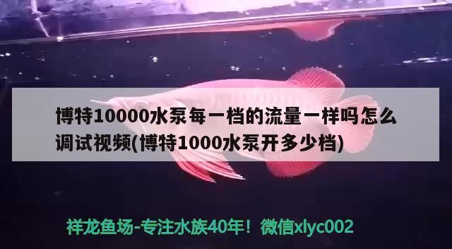 博特10000水泵每一檔的流量一樣嗎怎么調(diào)試視頻(博特1000水泵開(kāi)多少檔) 博特10000水泵每一檔的流量一樣嗎怎么調(diào)試視頻(博特1000水泵開(kāi)多少檔) 博特水族