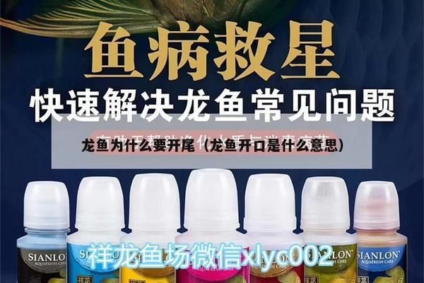 龍魚外寄用藥怎么用vs祥龍魚場：祥龍魚場評價如何 龍魚外寄用藥怎么用vs祥龍魚場：祥龍魚場評價如何 vs祥龍魚場 第5張