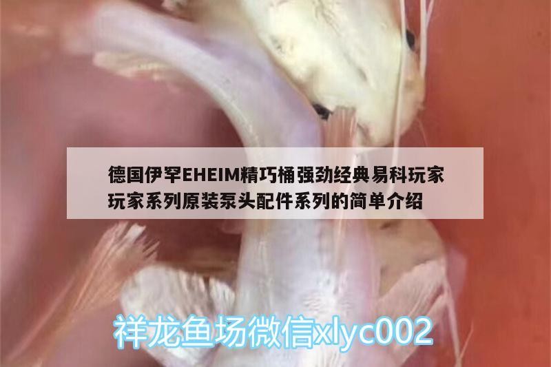 德國伊罕EHEIM精巧桶強勁經典易科玩家玩家系列原裝泵頭配件系列的簡單介紹
